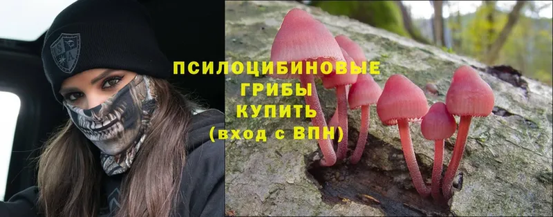 МЕГА ССЫЛКА  Пермь  Галлюциногенные грибы MAGIC MUSHROOMS 